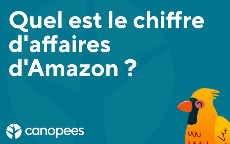 Quel est le chiffre d'affaires d'Amazon